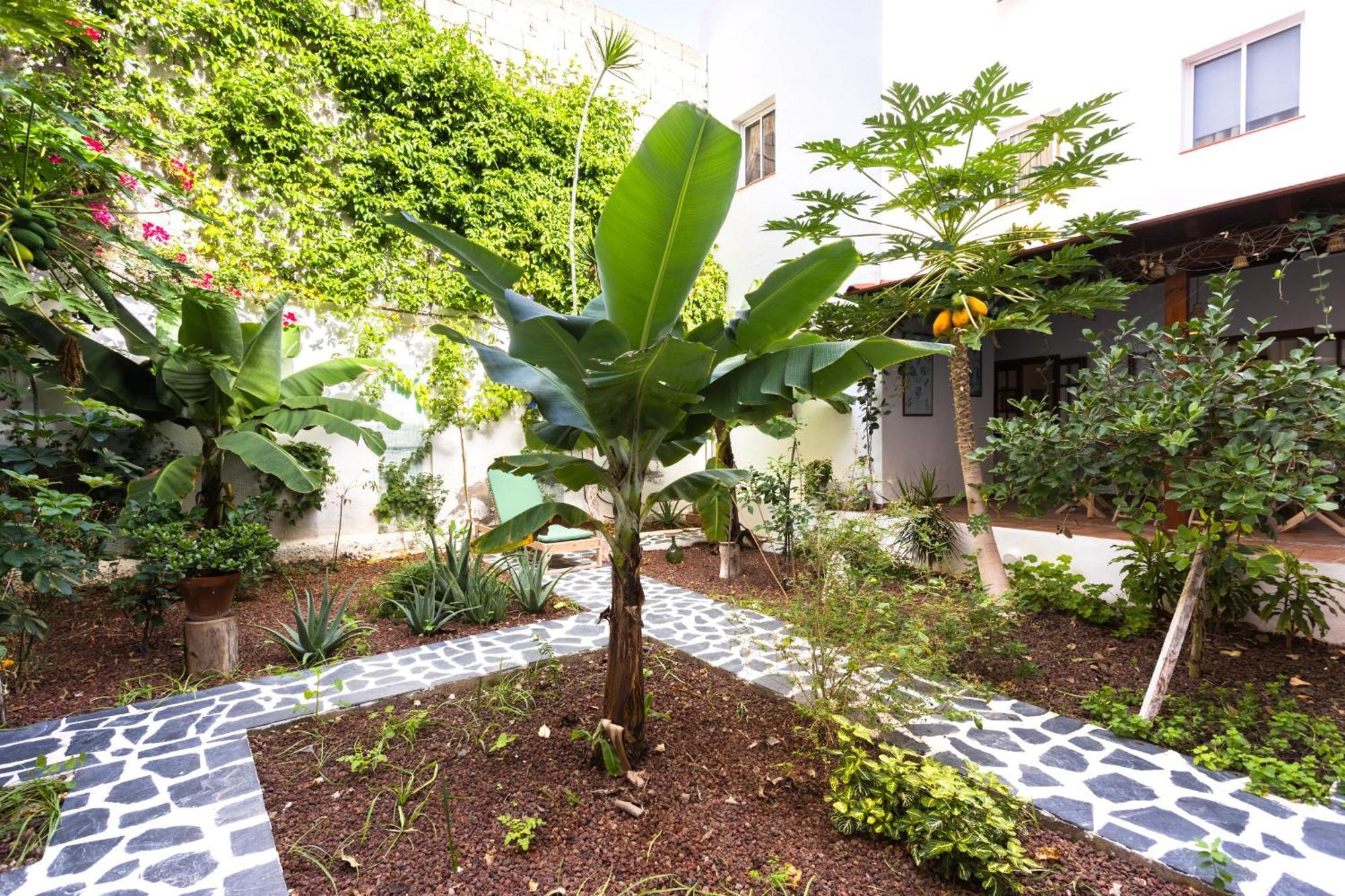 Вилла Garachico Center Secret Garden Экстерьер фото